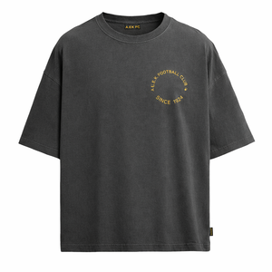 FOOTBALL BALL T-SHIRT GREY (AFCMT26128-063), thumbnail 2